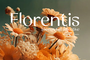 Castelia – Elegant Stylish Sans, a Sans Serif Font by Almarkhatype (Thumbnail 2 of 10)