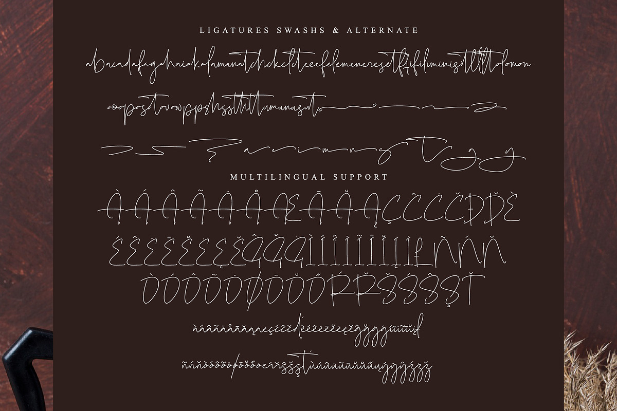 Skalinyas, a Script Font by operatype.co (Photo 14 of 15)