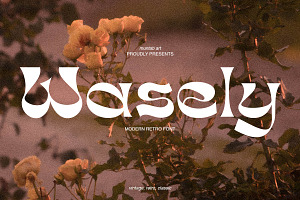 Wasely Modern Classic Font