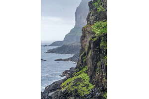 Seabirds nesting on the cliffs in, a Nature Photo by Backyard Stock