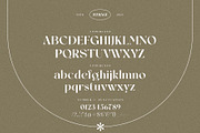 Average Elegant Serif Font Typeface, a Serif Font by Graphicxell (Thumbnail 10 of 10)