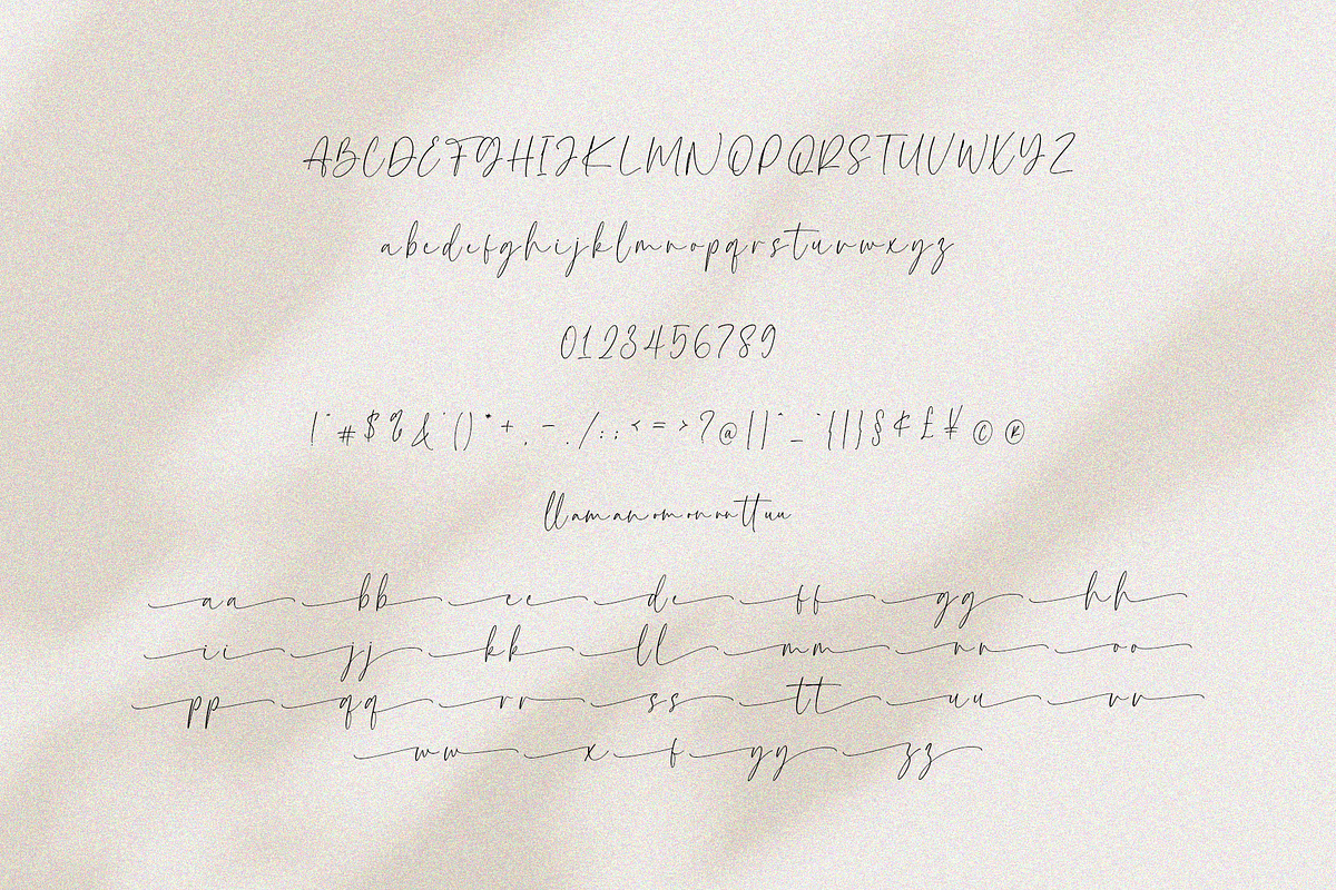 Charlotte - Elegant Calligraphy Font, a Script Font by Pen Culture (Photo 9 of 9)