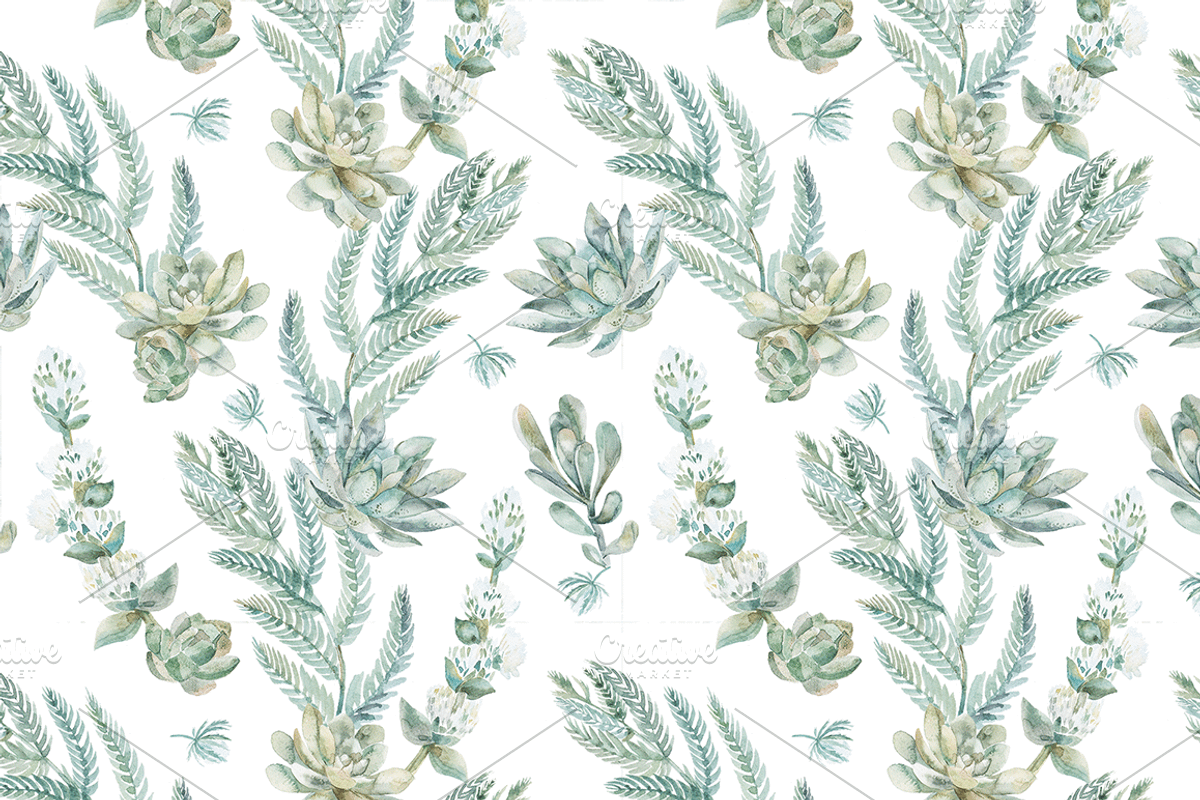 Wedding set of succulents, an Illustration by Elizaveta (Photo 3 of 6)