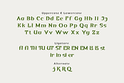 Qituen - Classic Modernism Font, a Sans Serif Font by twinstd (Thumbnail 9 of 10)