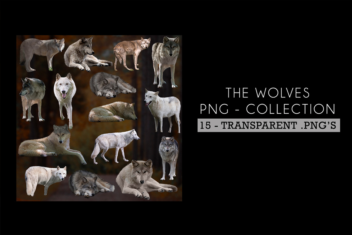 15 - PNG Wolves - Collection, an Object Graphic by DareToDream (Photo 8 of 8)