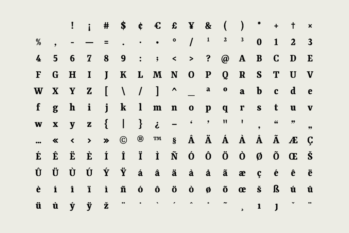 Qubeik Nue - A Premium Serif Font, a Serif Font by Webhance Studio (Photo 9 of 13)