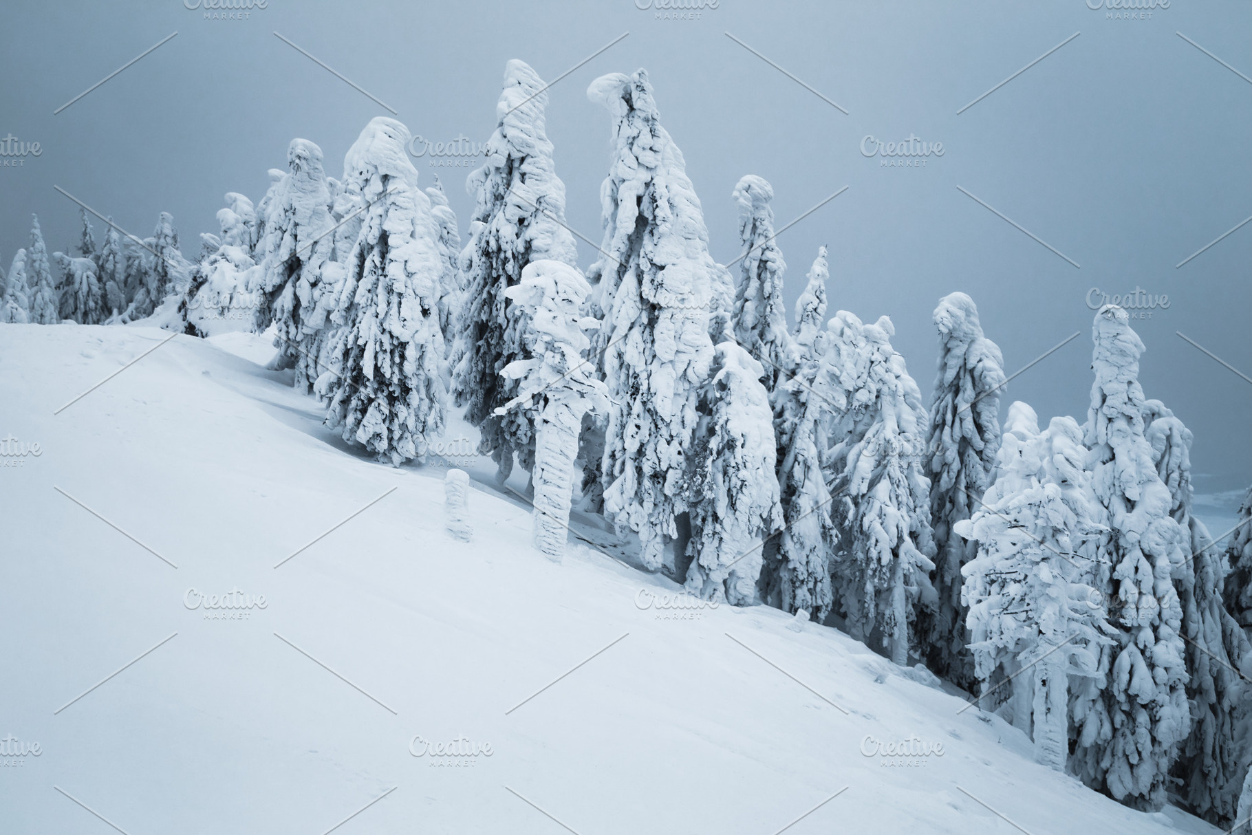 Misty and snowy winter landscape, a Nature Photo by Alpine Dreams