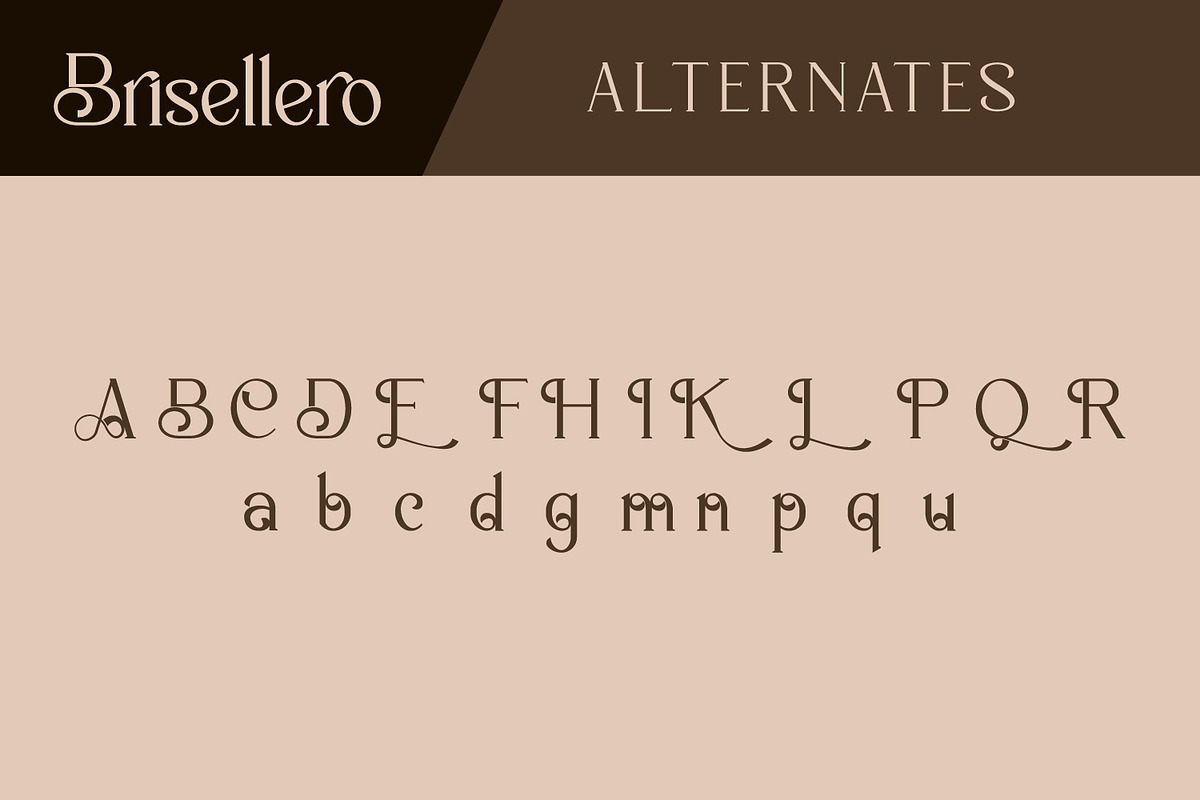Brisellero, a Serif Font by Rishsketch (Photo 12 of 14)