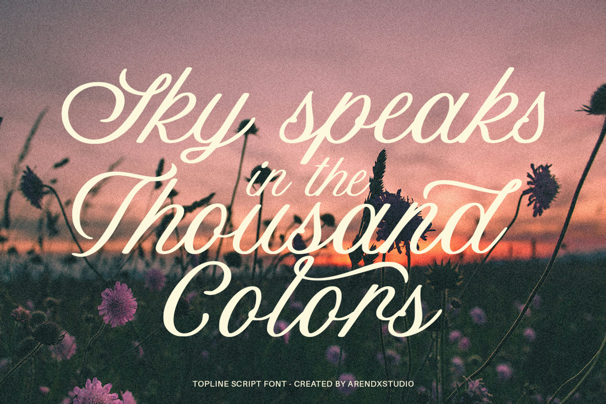Topline – Elegant Script Typeface, a Script Font by Arendxstudio (Photo 9 of 10)