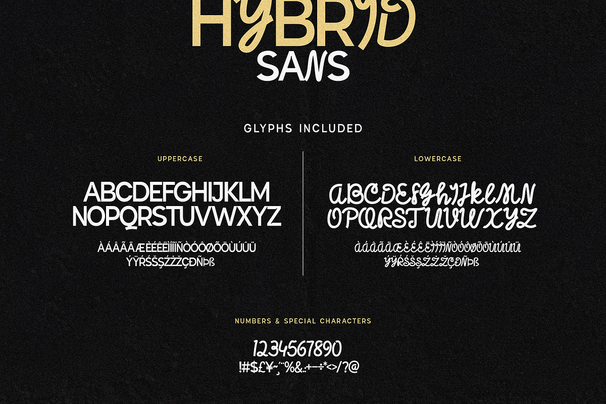 Hybrid Sans - Sans & Script Mix, a Sans Serif Font by AndrewPixelType (Photo 10 of 10)