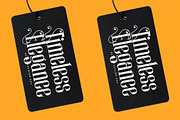 Winstgue Modern Vintage Serif, a Serif Font by timelesstype.co (Thumbnail 9 of 20)