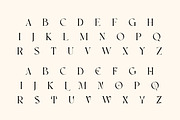 Vastyque - Modern Ligatures Serif, a Serif Font by Vesvocrea (Thumbnail 6 of 12)