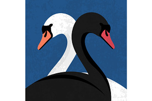Black and White Swans, an Animal Illustration by PsychocheArt