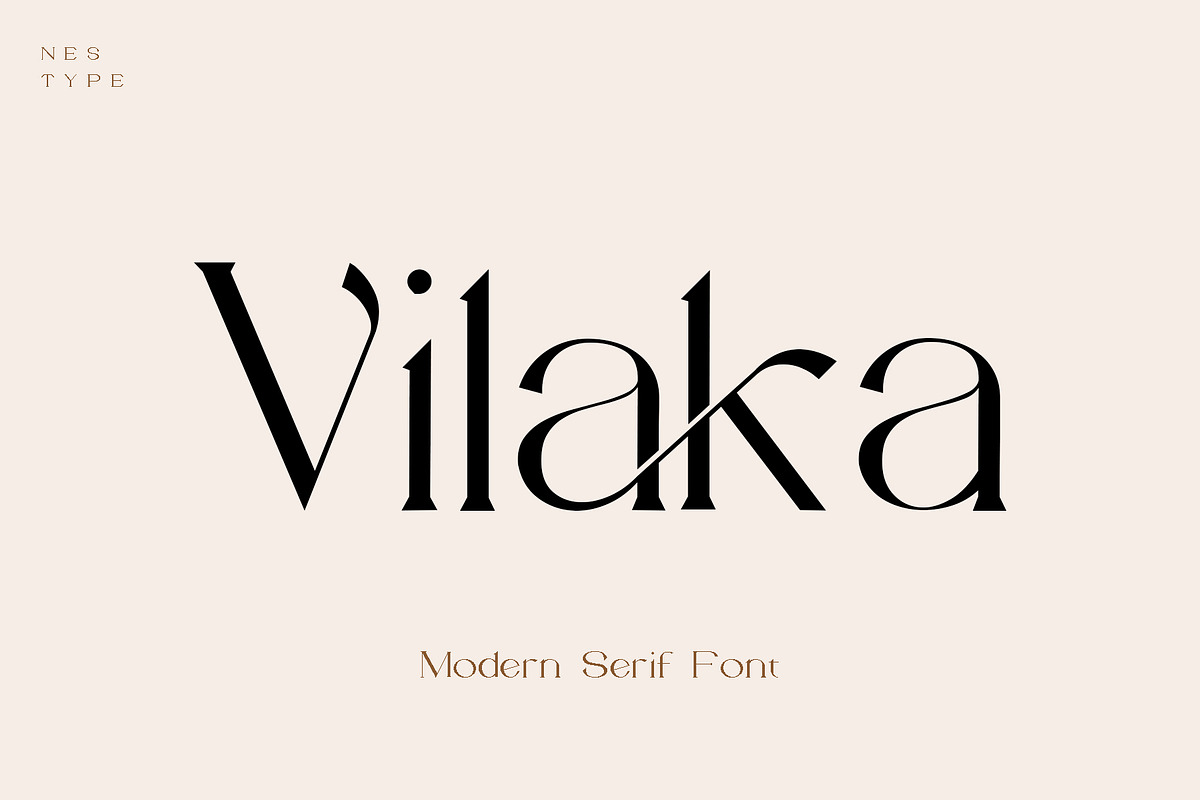 Vilaka Modern Serif, a Serif Font by Nestype (Photo 1 of 10)