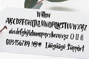Willow & Thyme with Logo Ornaments, a Script Font by Storyteller Design (Thumbnail 2 of 10)