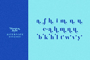 Morgenlicht, a Serif Font by INKSUN™ (Thumbnail 12 of 13)