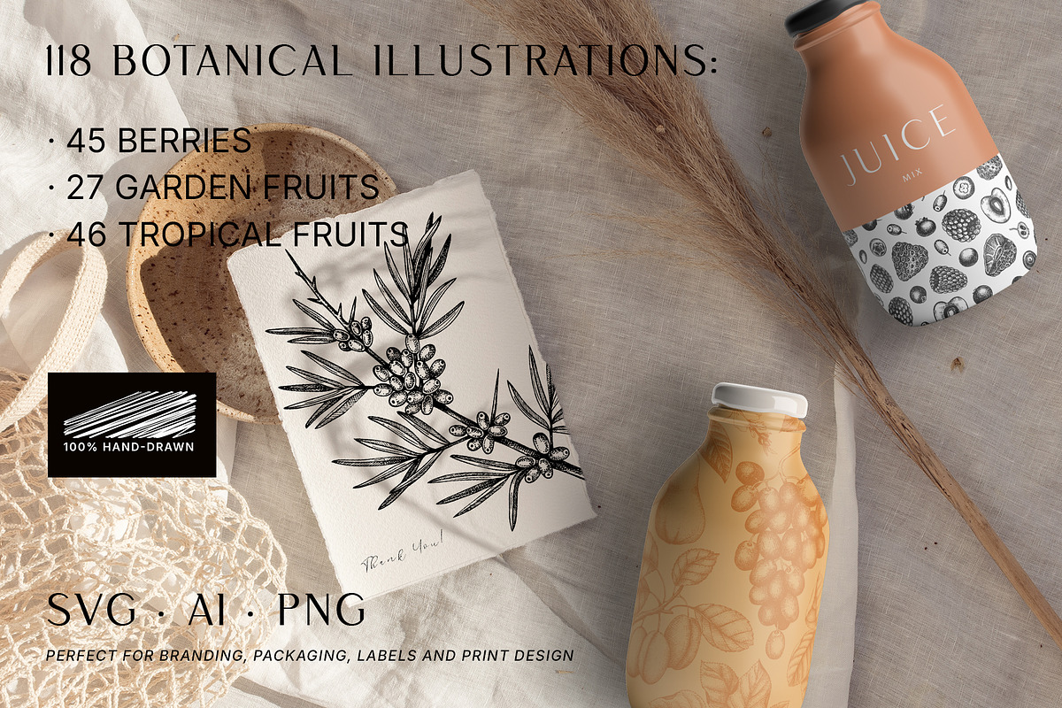 BUNDLE - Fruit & Berries Collection, a Food Illustration by Yevheniia (Photo 9 of 9)