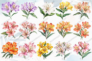 Retro Vintage Alstroemeria Flowers, an Illustration by designcity5 (Thumbnail 3 of 5)
