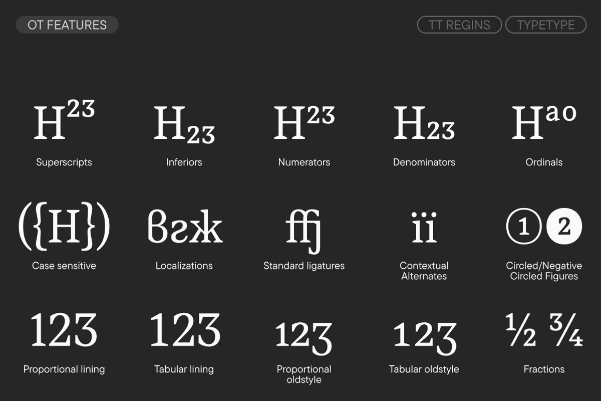 TT Regins, a Serif Font by TypeType (Photo 12 of 15)