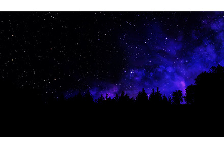 Dark sky back light forest, a Nature Photo by adamadam