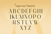 Annyra - Modern Luxury Sans Font, a Sans Serif Font by Flawless And Co (Thumbnail 6 of 10)