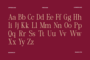 Margiona Modern Elegant Serif Font, a Serif Font by Rasio Studio (Thumbnail 2 of 9)