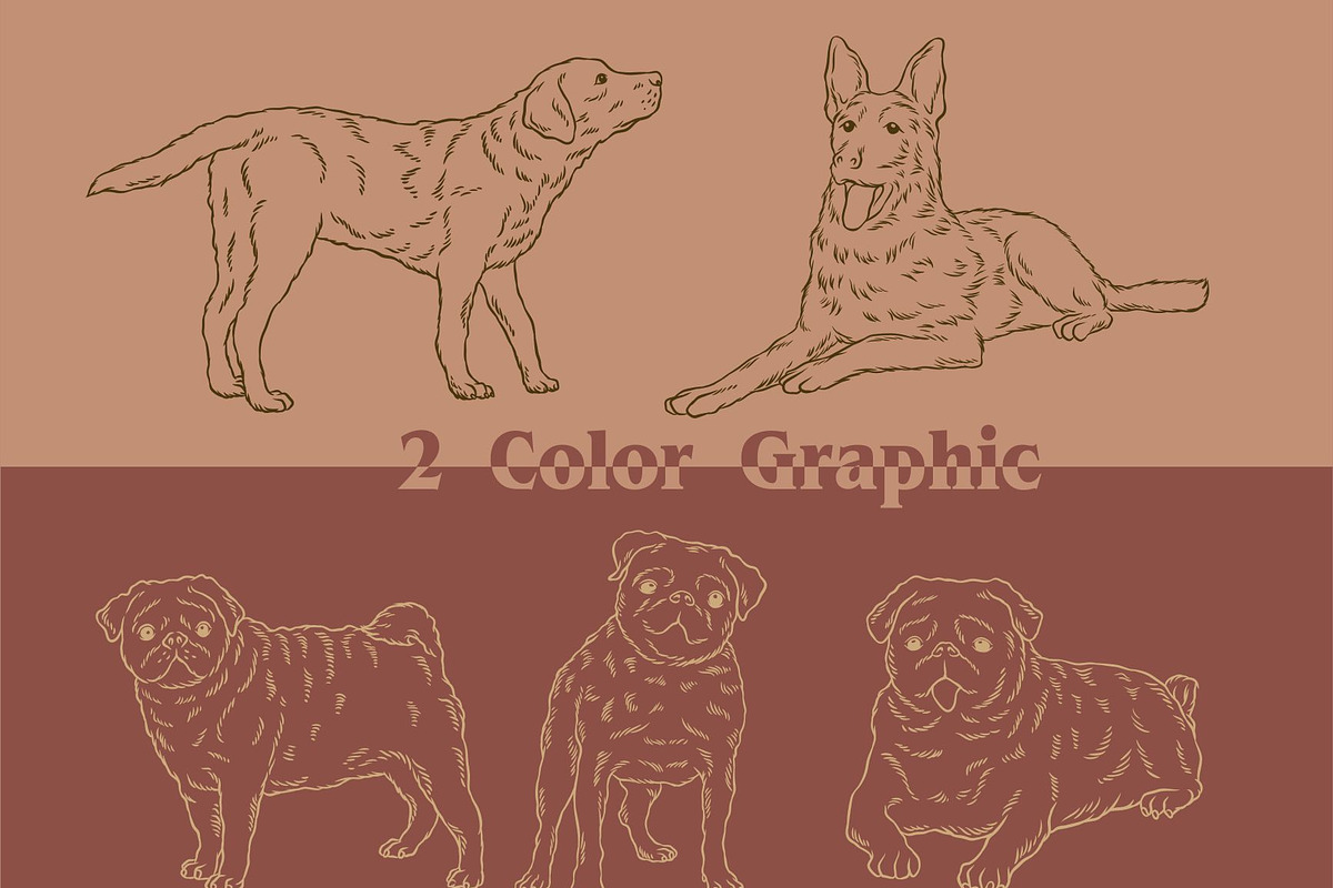 Dogs Graphic Collection, an Illustration by Ben studio (Photo 3 of 3)