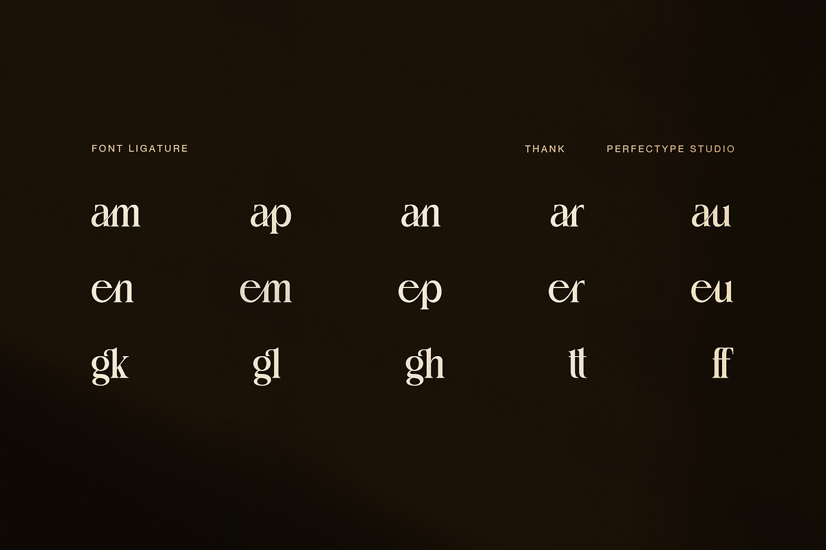 Thank Elegant Serif Font, a Serif Font by Perfectype (Photo 8 of 8)