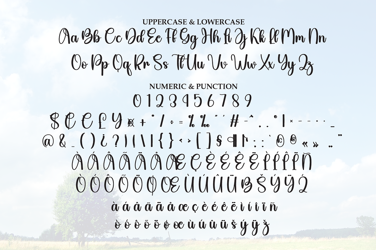 Bright | Script Font, a Handwritten Font by Scratchones (Photo 7 of 9)