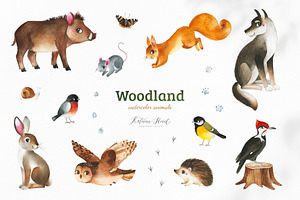 Woodland. Cute Forest Collection.