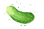 Selection of green foods, watercolor, a Food Illustration by Kamenuka (Thumbnail 4 of 4)
