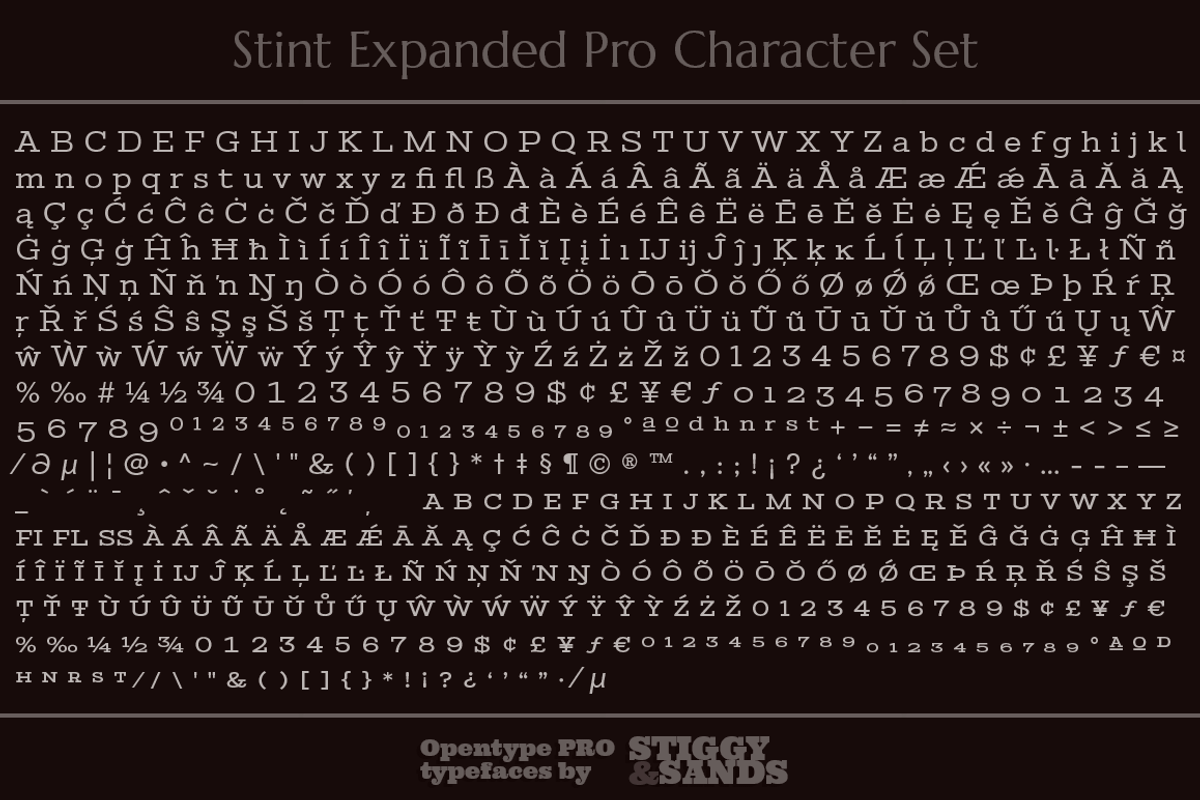 Stint Expanded Pro Family preview 5