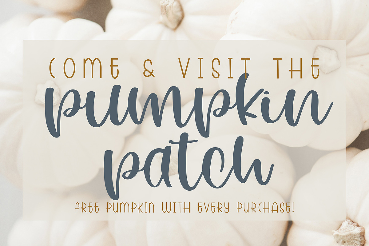 Buttercup, a Script Font by Dansie Design (Photo 7 of 10)