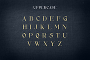 Alibold, a Serif Font by Rishsketch (Thumbnail 9 of 14)