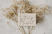 Magistica Herimattos Luxury Script, a Script Font by Storytype Studio (Thumbnail 10 of 15)