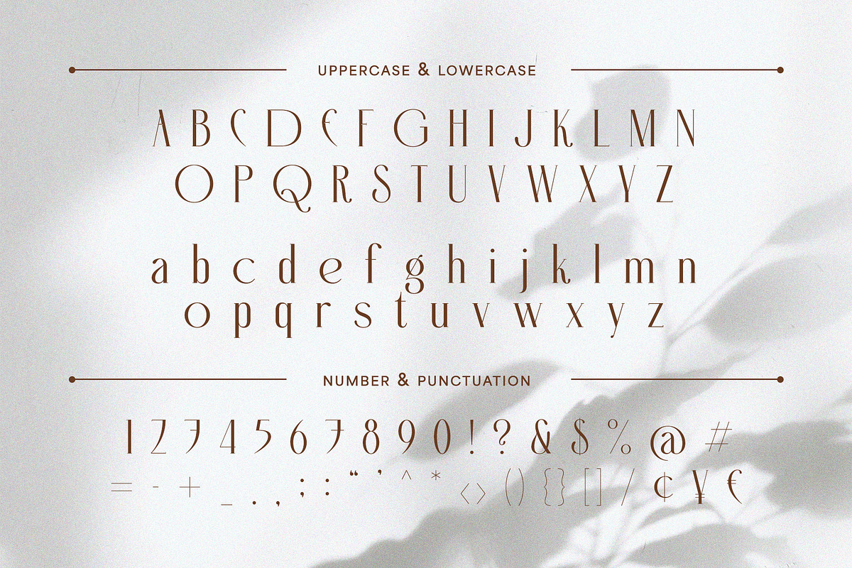 Helona - A New Modern Ligature Serif, a Serif Font by Almeera Std (Photo 4 of 10)