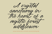 Jonthay Stattera Modern Script Font, a Script Font by Letterena Studios Script (Thumbnail 6 of 20)