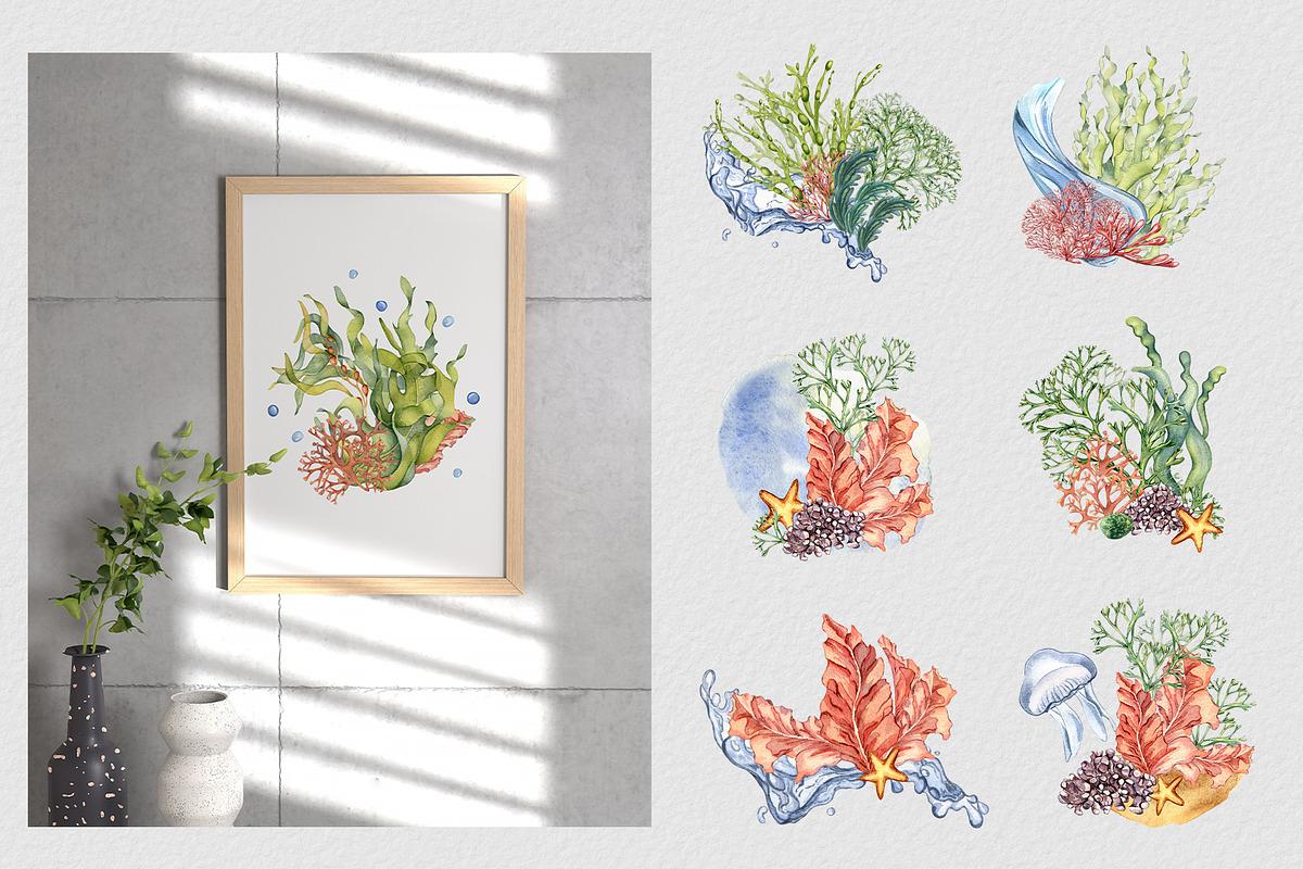 Sea plants watercolor collection, an Illustration by Kate Lanbina (Photo 5 of 18)