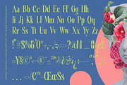 Portrait Midnight Modern Serif, a Sans Serif Font by timelesstype.co (Thumbnail 14 of 15)