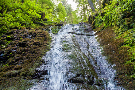 Forest waterfalls in the mountains, a Nature Photo by Photostock