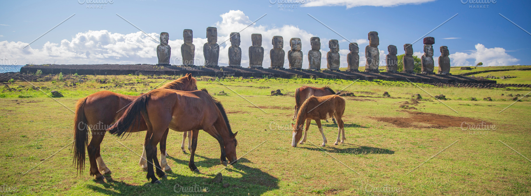Wild horses on green field near ancient moai statues of Ahu Tong, a Photo by Pictures for you!!!!!!!!!
