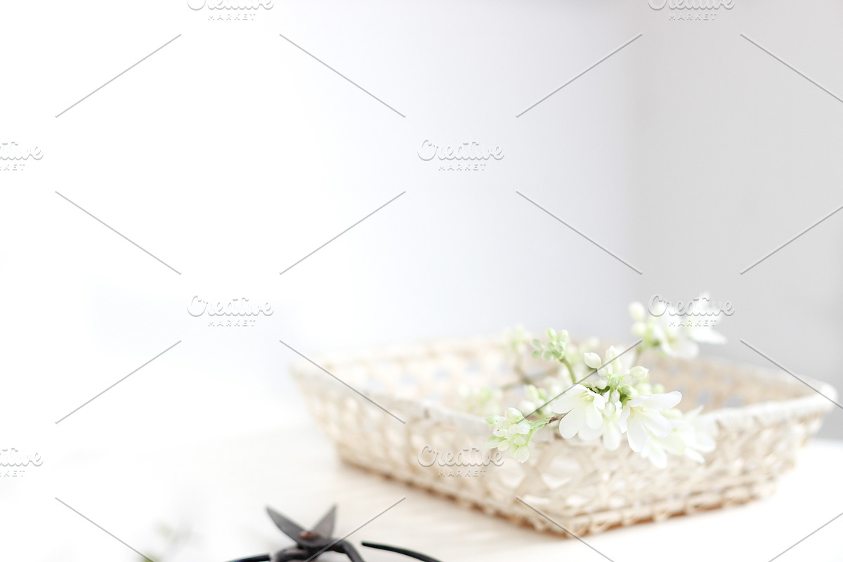 Neutral Collection | Styled Stock, a Business Photo by Chalking Up Stock (Photo 17 of 25)