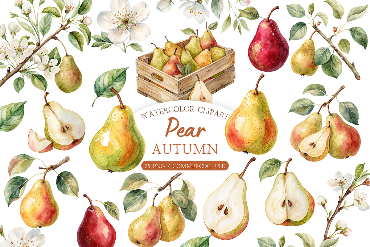 Autumn Pear Clipart PNG, an Object Illustration by MockupWizard (Photo 1 of 5)