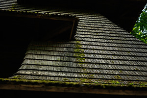 Close-up of a rustic wooden roof covered with moss and weathering, a Photo by AS photostudio