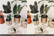 OLIVE TONES LIGHTROOM PRESETS, an Action Add-On by Nes Design Co (Thumbnail 11 of 12)