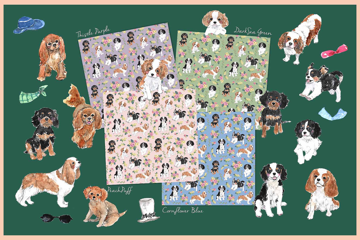 Cavalier King Charles, an Animal Illustration by VianneArt (Photo 4 of 4)