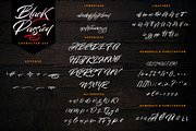 Black Passion – Brush Script Font, a Script Font by Typefactoryco (Thumbnail 2 of 8)
