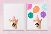 Birthday Balloon Photoshop Overlays, a Background Graphic by 3Motional (Thumbnail 5 of 11)