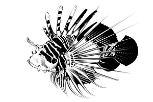 Tropical fish. Vector illustration, an Animal Illustration by Tettygreen