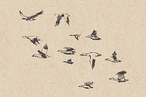 Flocks Of Birds, Sketch Style